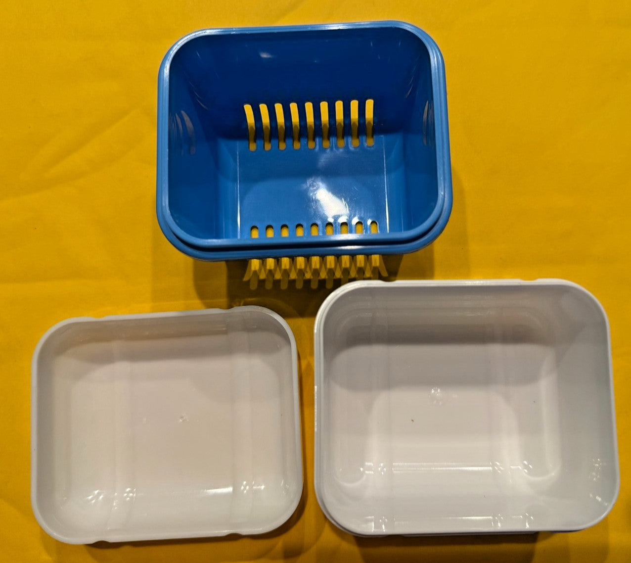 WISDOM DENTURE BOX Made in England with rinsing basket