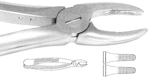 HU-FRIEDY FX2   #2 Forceps European