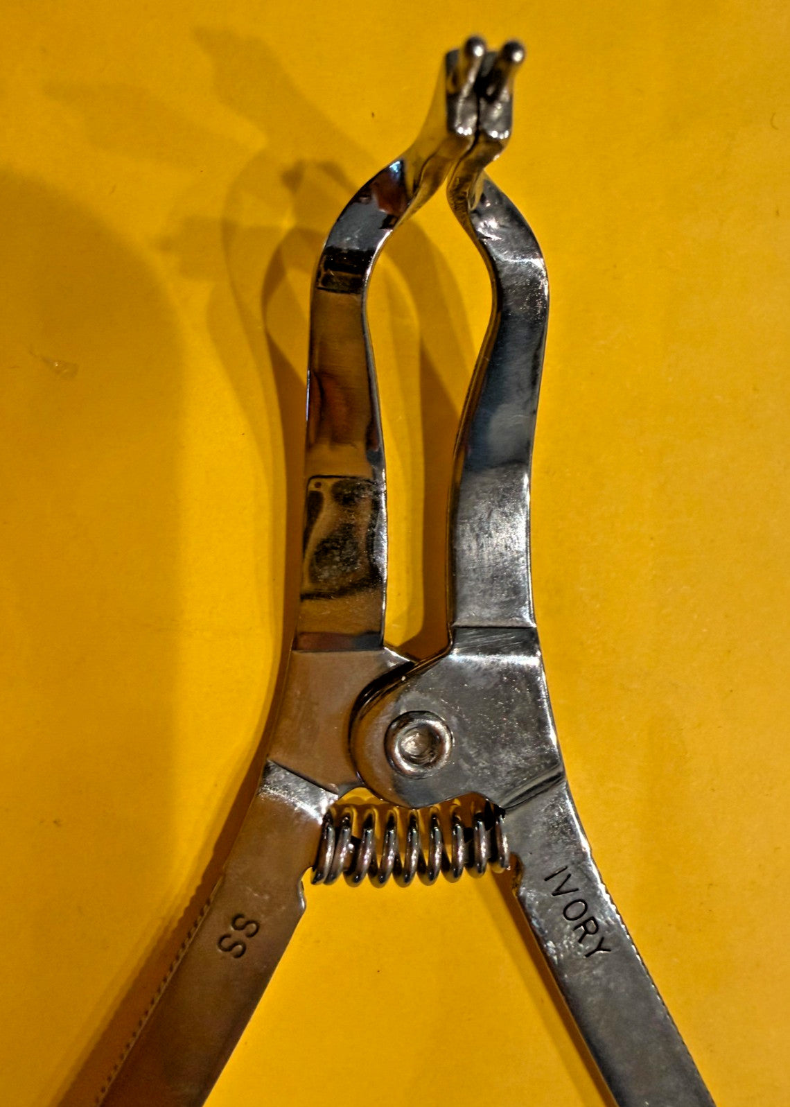Ivory Rubber Dam Clamp Forceps,  OPEN BOX