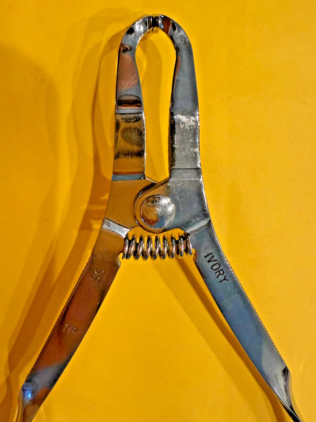 Ivory Rubber Dam Clamp Forceps,  OPEN BOX