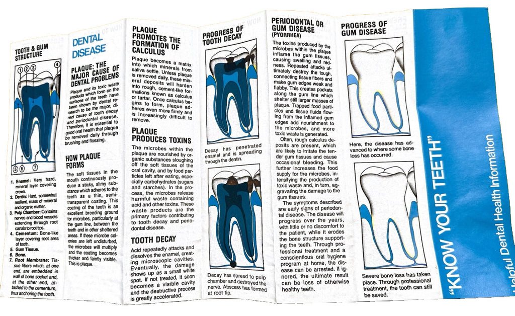FlossAid  Set of 3 Floss-Aid Dental Floss Holder WISDOM USA
