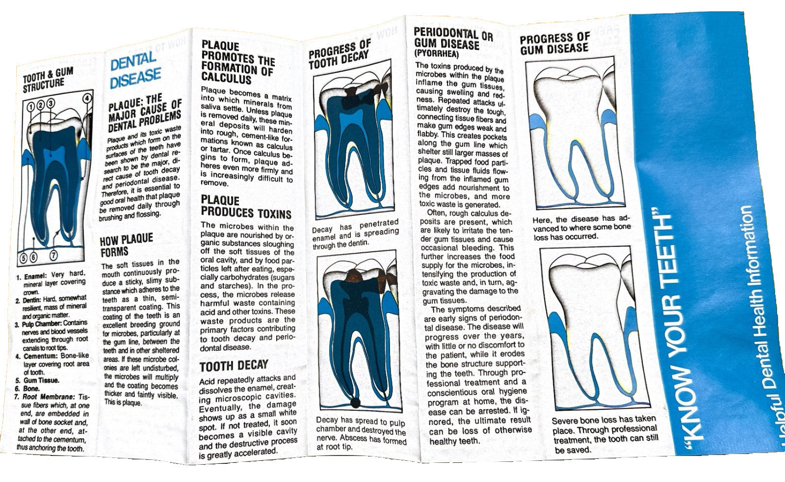 FlossAid  Set of 3 Floss-Aid Dental Floss Holder WISDOM USA